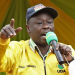 The Role of the Deputy President of Kenya