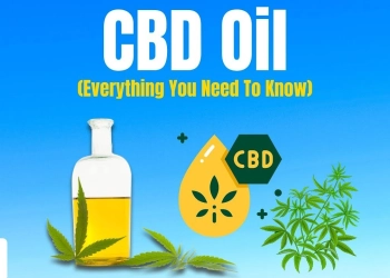 Exploring the Benefits of CBD Oil: A Comprehensive Guide