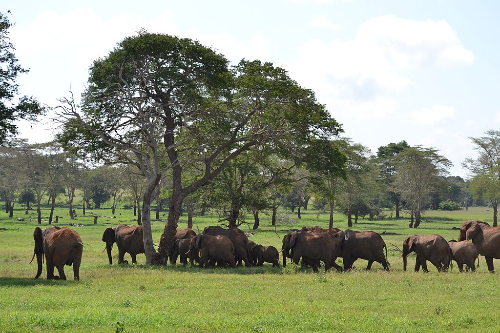 Taita Hills Wildlife Sanctuary