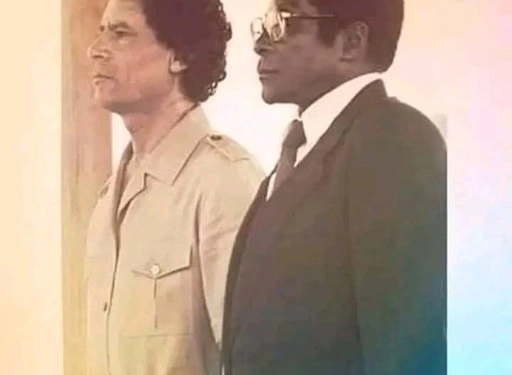 Visionaries for a United Africa: The Legacy of Muammar Gaddafi and Robert Mugabe