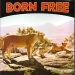 Born Free