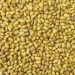 Yellow Beans Farming In Kenya