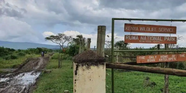 Ruma National Park Entrance Fees for 2024