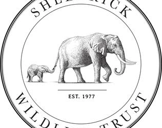 The Sheldrick Wildlife Trust (SWT)