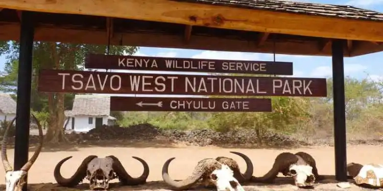 Tsavo West National Park Entry Fees 2024