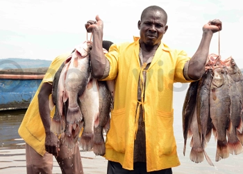fishing industry in uganda