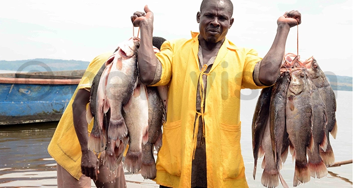 fishing industry in uganda