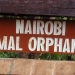 nairobi animal orphanage