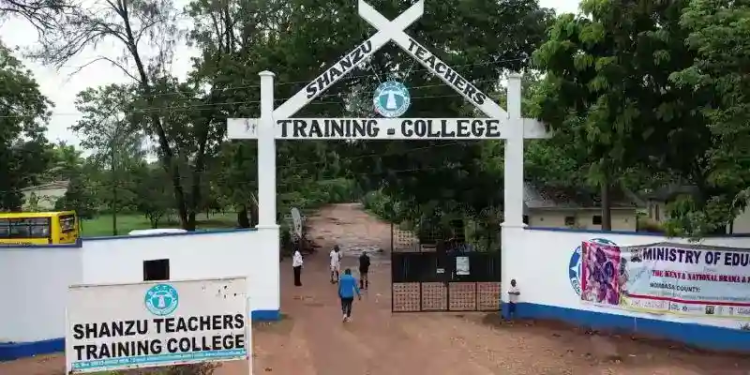 Shanzu Diploma Teachers Training College Courses