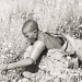 A Kipsigis woman in traditional adornments picks pyrethrum flowers at a white farm in Njoro in 1936