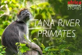 The Tana River Primate National Reserve 