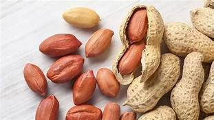 Fertilizers For Groundnut Farming In Kenya