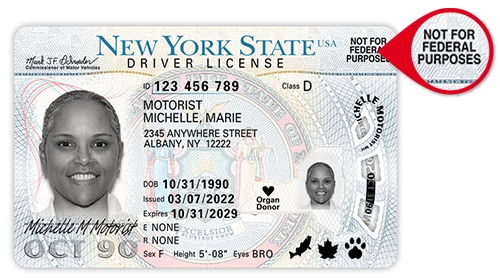 New York State ID