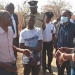 Abahungu 48 Batabawe Muri Zambia Inyuma yo Kunyuruzwa ngo Bagenyerwe