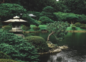Landscape