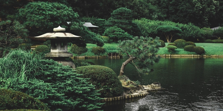 Landscape