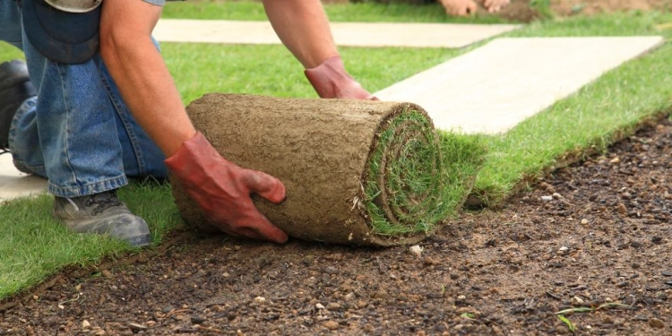 List Of Best Landscaping Companies In Kenya
