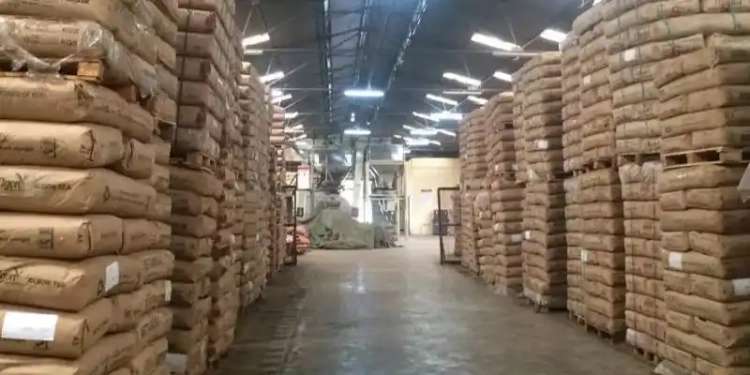 Comprehensive List of Licensed Tea Warehouse Operators in Kenya