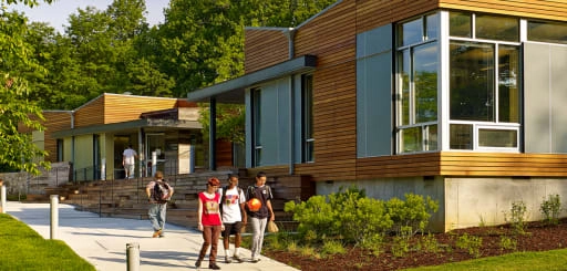 List of Top Montessori Schools in the USA: A Guide for Parents