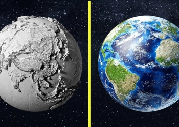 No sun, no life on earth