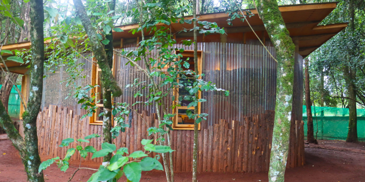 Nairobi Waldorf School Trust Fee Structure for 2024/2025