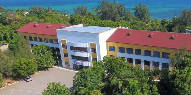 Light International School Mombasa fee structure for the academic year 2024-2025.