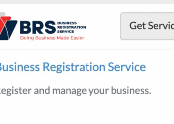 Business Name Search on eCitizen