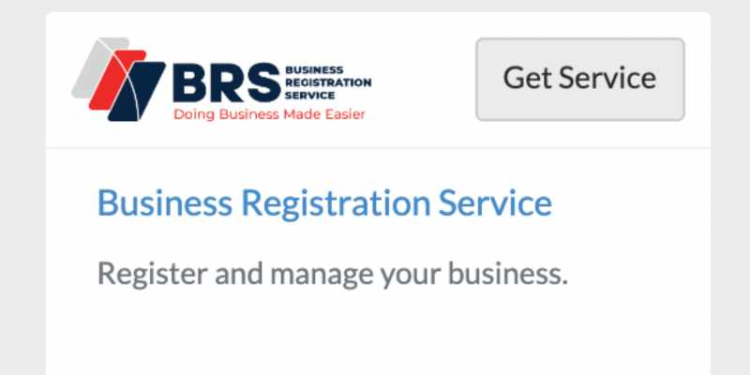 Business Name Search on eCitizen