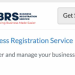 Business Name Search on eCitizen