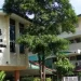 Garden International School Bangkok Fee Structure for 2024-2025 Academic Year