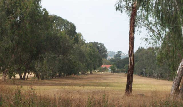 Machakos Golf Club