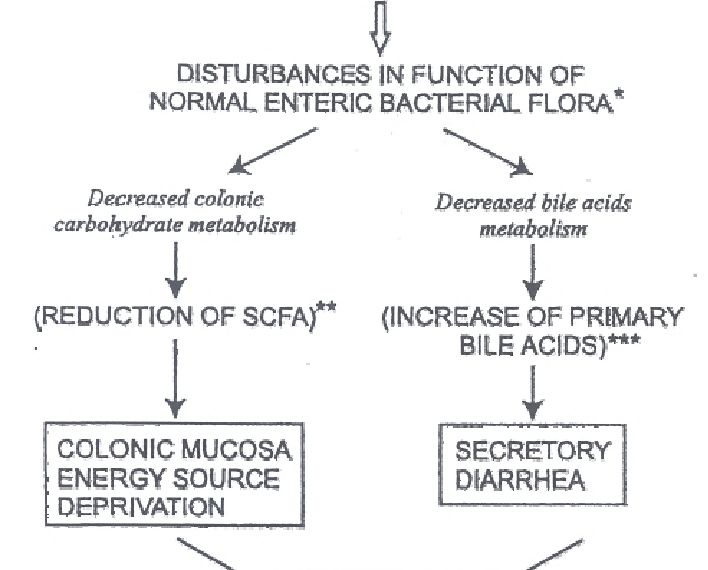 Antibiotic-associated diarrhea