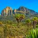 List of Top Best Hotels in Mount Elgon Kenya