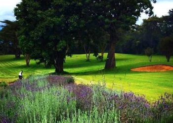 Mount Kenya Safari Club