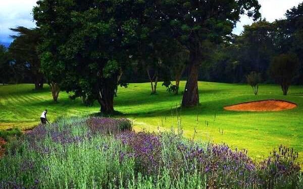 Mount Kenya Safari Club