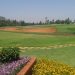 Nyanza Club Wiki