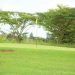 Ruiru Golf Club