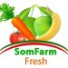 Shirkada Somfarmfresh