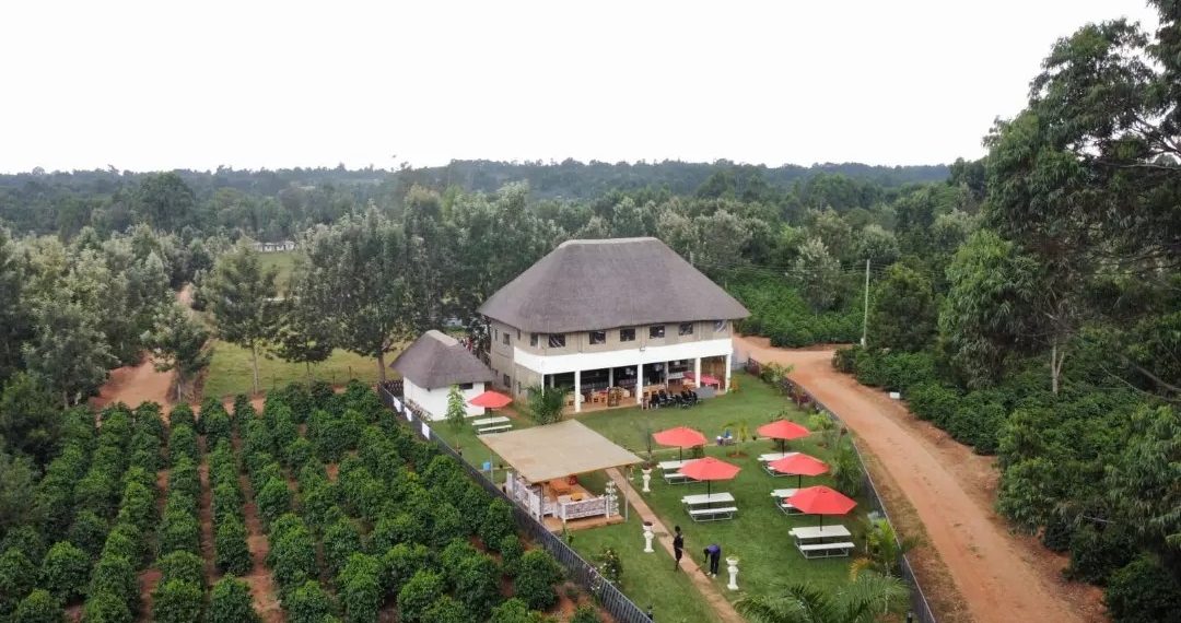 Sirwo Coffee Club - Kitale’s Hidden Gem