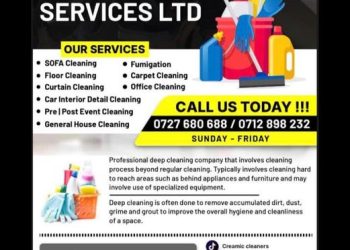 Ceramic Cleaning Services Kisii Nyamira