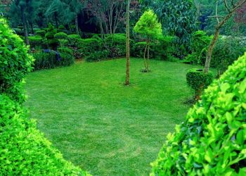 Unclebill Landscaping Services Kisii
