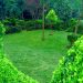 Unclebill Landscaping Services Kisii