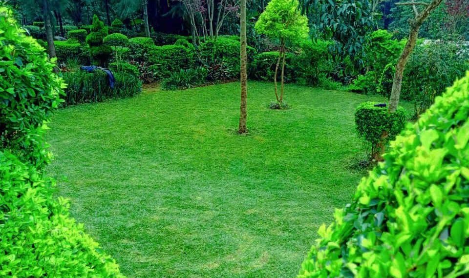 Unclebill Landscaping Services Kisii