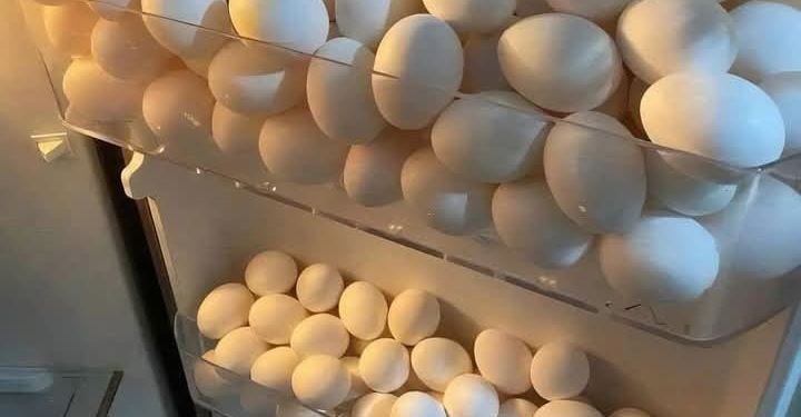 Eggs in Fridge