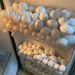 Eggs in Fridge