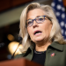 Liz Cheney Net Worth
