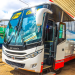 Ena Coach