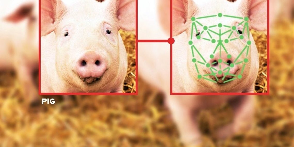 How AI is Being Used to Reveal Emotions in Animals