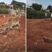 Kiambu Residents Protest Govt’s Exhumation of Bodies in a Community Cemetery for Road Construction