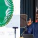 2 Circumstances Under Which AUC Chairperson Election Can Be Suspended